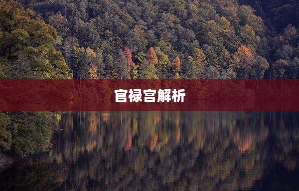 官禄宫解析