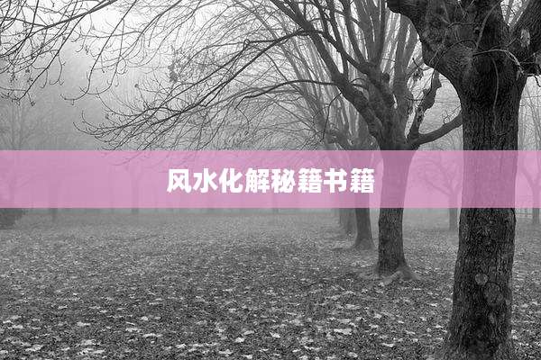 风水化解秘籍书籍