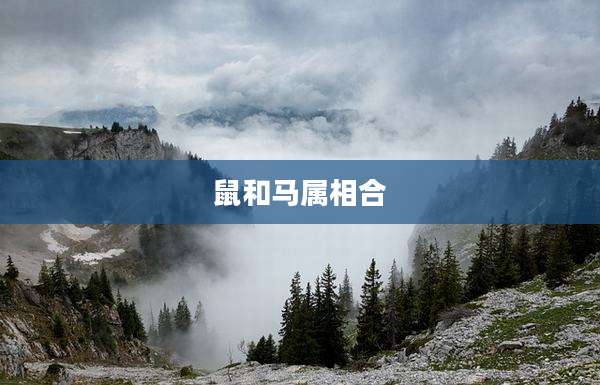 鼠和马属相合