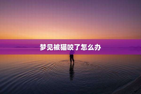梦见被猫咬了怎么办
