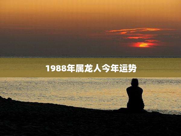 1988年属龙人今年运势