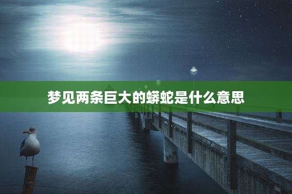 梦见两条巨大的蟒蛇是什么意思