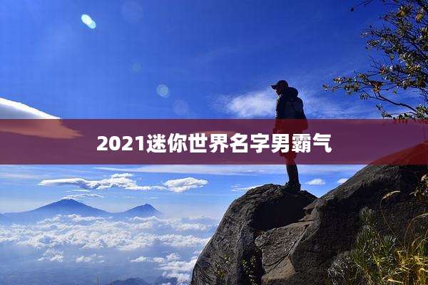 2021迷你世界名字男霸气