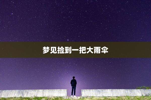 梦见捡到一把大雨伞
