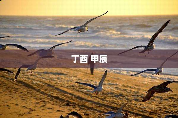 丁酉 甲辰