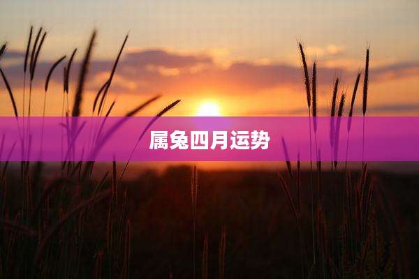 属兔四月运势