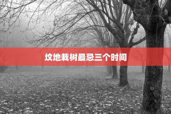 坟地栽树最忌三个时间