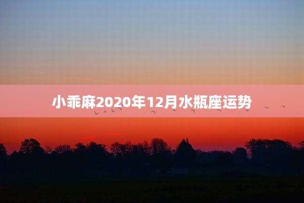 小乖麻2020年12月水瓶座运势