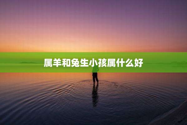 属羊和兔生小孩属什么好