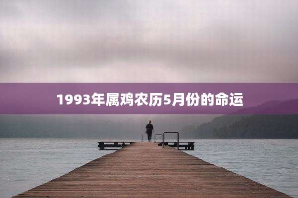 1993年属鸡农历5月份的命运