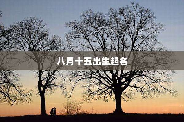 八月十五出生起名