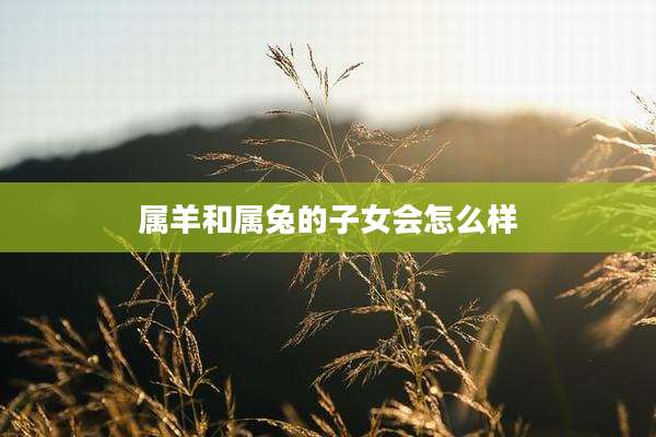 属羊和属兔的子女会怎么样