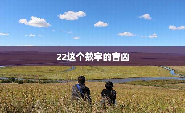 22这个数字的吉凶