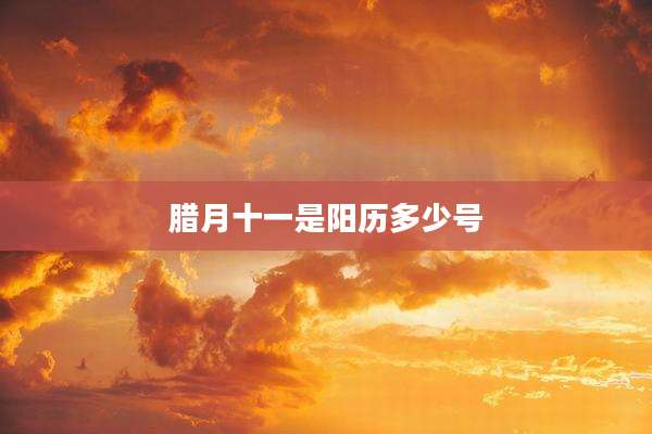 腊月十一是阳历多少号