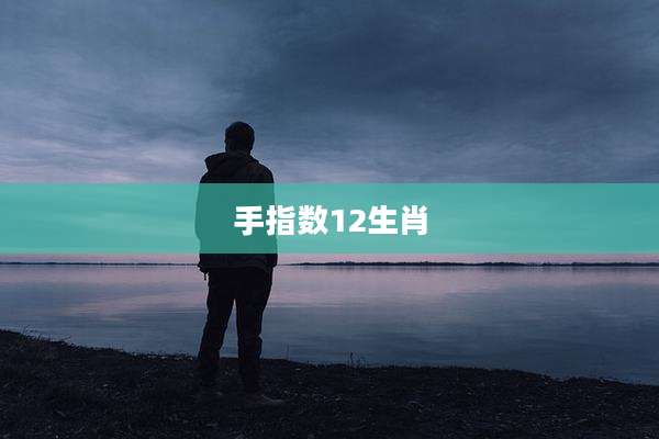 手指数12生肖