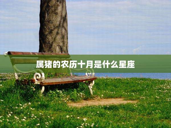 属猪的农历十月是什么星座