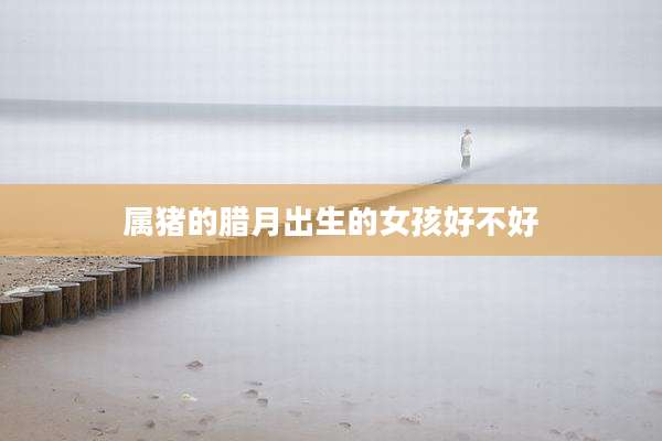 属猪的腊月出生的女孩好不好