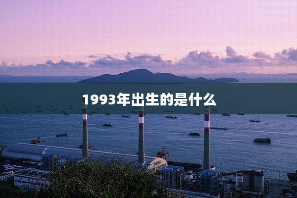1993年出生的是什么