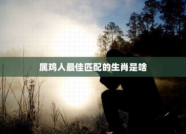属鸡人最佳匹配的生肖是啥