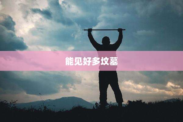 能见好多坟墓