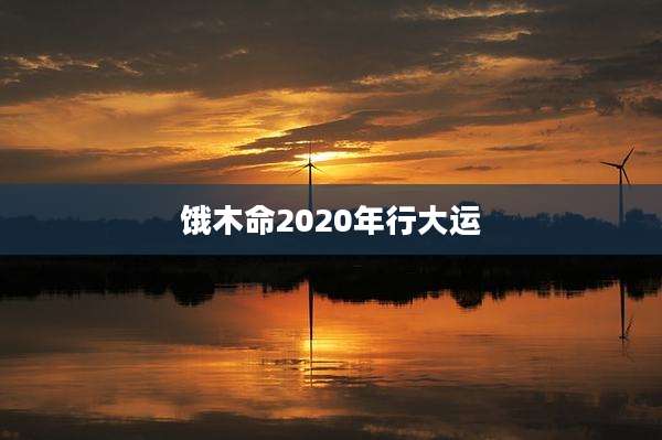 饿木命2020年行大运