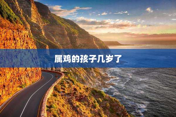 属鸡的孩子几岁了