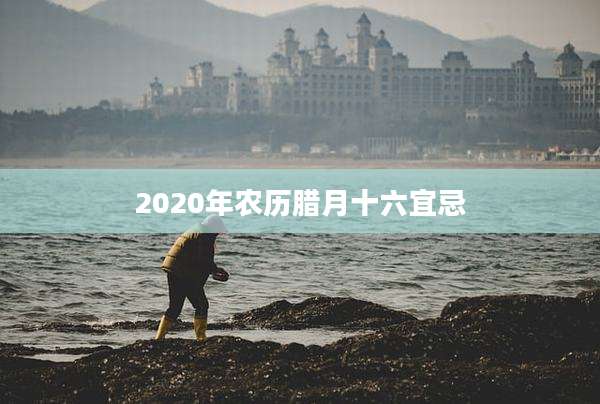2020年农历腊月十六宜忌