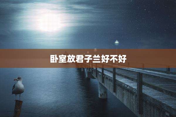 卧室放君子兰好不好