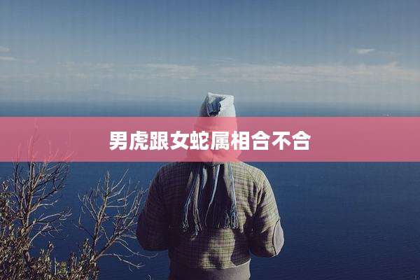 男虎跟女蛇属相合不合
