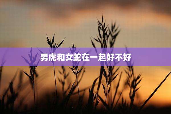 男虎和女蛇在一起好不好