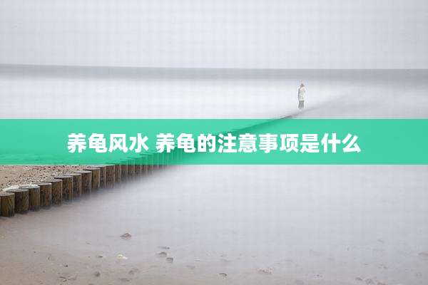 养龟风水 养龟的注意事项是什么