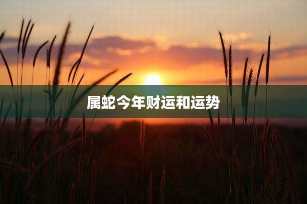 属蛇今年财运和运势