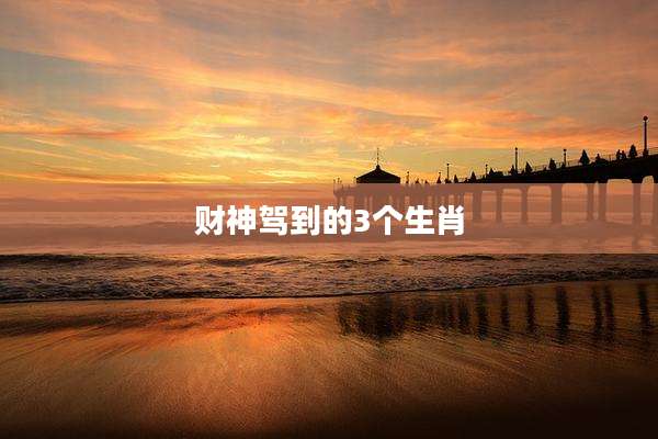 财神驾到的3个生肖