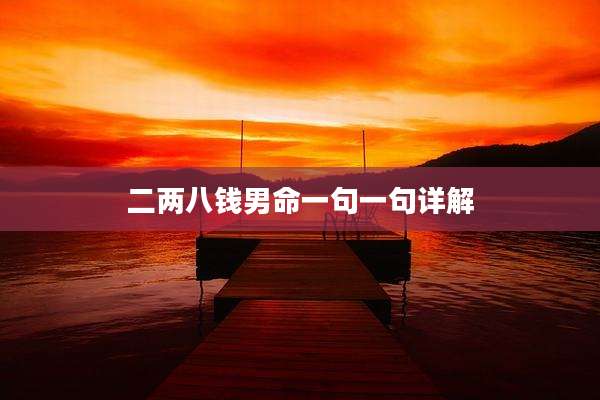 二两八钱男命一句一句详解