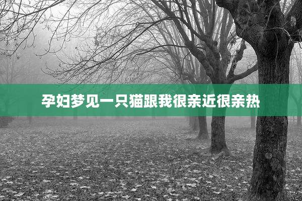 孕妇梦见一只猫跟我很亲近很亲热