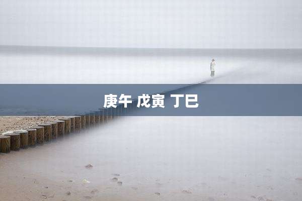 庚午 戊寅 丁巳