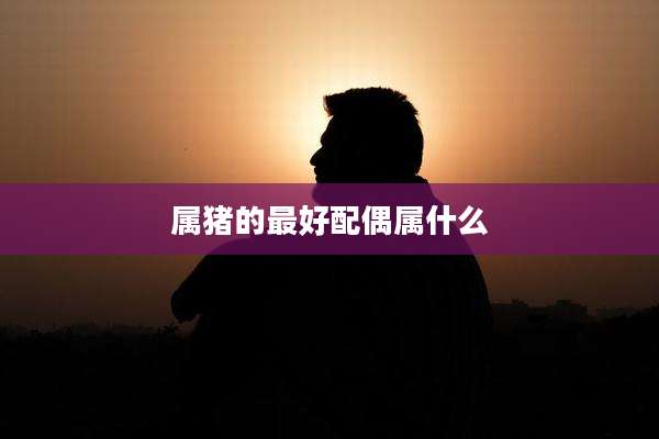 属猪的最好配偶属什么
