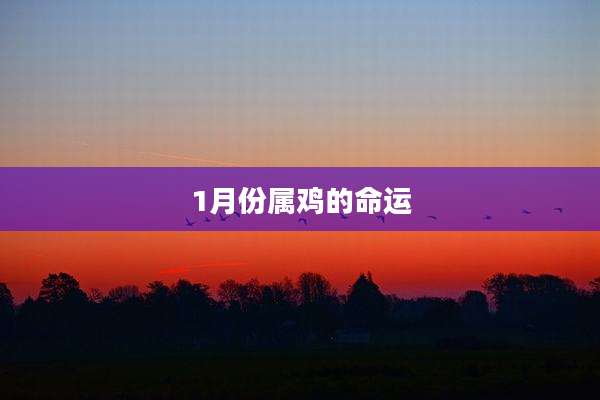 1月份属鸡的命运