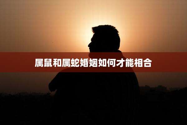 属鼠和属蛇婚姻如何才能相合