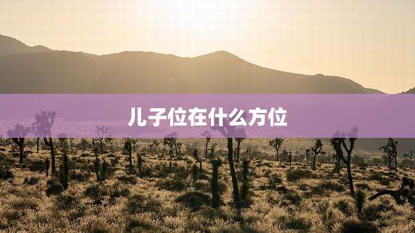 儿子位在什么方位
