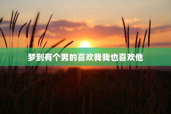 梦到有个男的喜欢我我也喜欢他