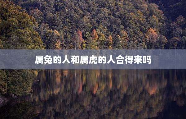 属兔的人和属虎的人合得来吗