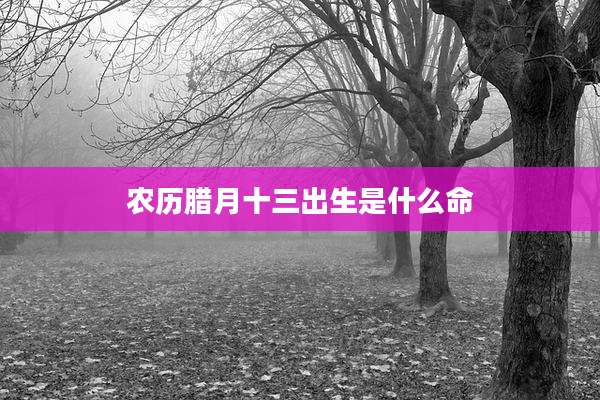 农历腊月十三出生是什么命