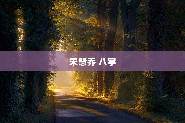 宋慧乔 八字