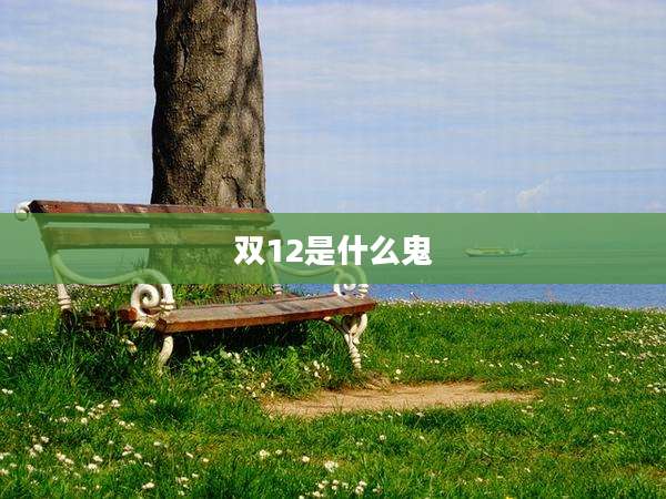 双12是什么鬼