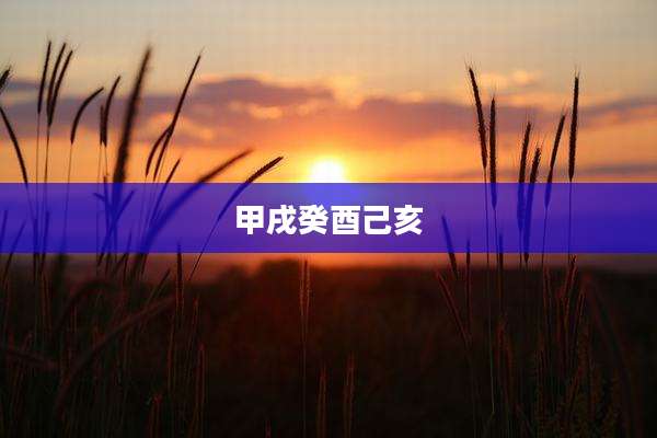 甲戌癸酉己亥