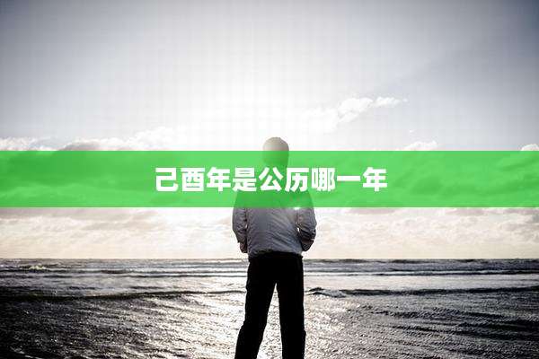 己酉年是公历哪一年
