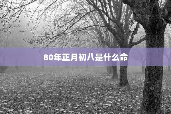 80年正月初八是什么命
