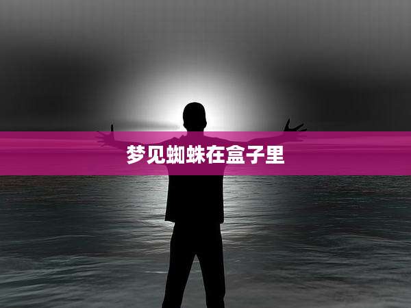 梦见蜘蛛在盒子里