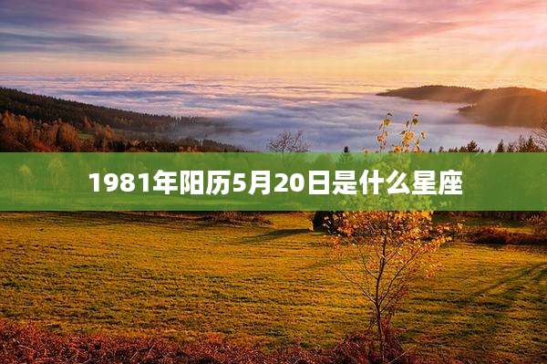 1981年阳历5月20日是什么星座